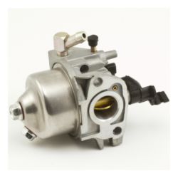 Toro 120-4419 Carburetor & Fuel Line Kit 