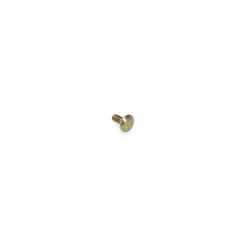 Toro 3229-11 Carriage Screw - TOR 3229-11
