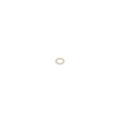 Toro 3254-2 Internal Lock Washer - TOR 3254-2