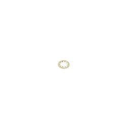 Toro 3254-6 Internal Lock Washer - TOR 3254-6