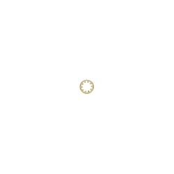 Toro 3254-6 Internal Lock Washer - TOR 3254-6