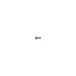 Toro 3290-321 HWH Screw - TOR 3290-321