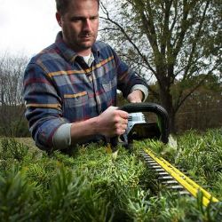 EGO HT2411 24" 56V Battery-Powered Brushless Hedge Trimmer w/ 2.5Ah Battery & 210W Charger - EGO HT2411