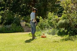 STIHL FSA 60 R 14" Battery-Powered String Trimmer w/ AK 20 Battery & AL 101 Charger - STI FSA 60 R