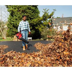 Toro 51822 60V MAX 157 mph Brushless Leaf Blower w/ 4.0Ah Battery & Charger - TOR 51822
