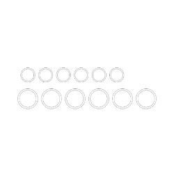 BOSS 143-6698 Mag Valve O-Ring Kit 