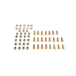 BOSS HDW09826 Dodge 1/2T Fastener Kit (06+) 