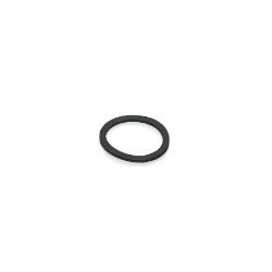 BOSS MSC20121 Liquid Ice Control Filter Screen Gasket - BOSS MSC20121