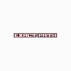 BOSS MSC22751 DPS Exact Path Decal 